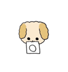 わたしのふわふわわんこ（個別スタンプ：5）