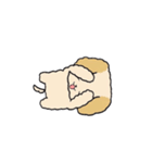 わたしのふわふわわんこ（個別スタンプ：10）