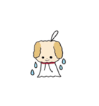 わたしのふわふわわんこ（個別スタンプ：12）
