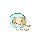 わたしのふわふわわんこ（個別スタンプ：15）