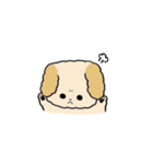 わたしのふわふわわんこ（個別スタンプ：16）