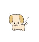 わたしのふわふわわんこ（個別スタンプ：19）