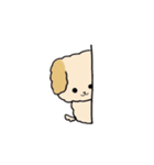 わたしのふわふわわんこ（個別スタンプ：24）