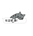 Meow Star to help~~Occupy Chat（個別スタンプ：4）