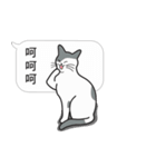 Meow Star to help~~Occupy Chat（個別スタンプ：5）