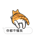 Meow Star to help~~Occupy Chat（個別スタンプ：7）