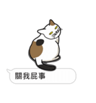 Meow Star to help~~Occupy Chat（個別スタンプ：12）