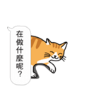 Meow Star to help~~Occupy Chat（個別スタンプ：15）