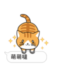 Meow Star to help~~Occupy Chat（個別スタンプ：17）