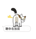 Meow Star to help~~Occupy Chat（個別スタンプ：20）