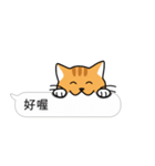 Meow Star to help~~Occupy Chat（個別スタンプ：25）