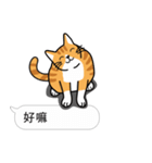 Meow Star to help~~Occupy Chat（個別スタンプ：26）