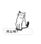 Meow Star to help~~Occupy Chat（個別スタンプ：31）