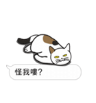 Meow Star to help~~Occupy Chat（個別スタンプ：34）