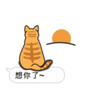 Meow Star to help~~Occupy Chat（個別スタンプ：37）