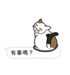 Meow Star to help~~Occupy Chat（個別スタンプ：40）