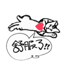 How about~Hello Cat（個別スタンプ：28）