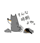 黒柴Gちゃん。2（個別スタンプ：37）