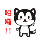 wow wow Huskies 2（個別スタンプ：1）