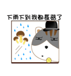 hat cat's ordinary life（個別スタンプ：33）