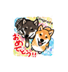 柴犬ざんまい2（個別スタンプ：29）