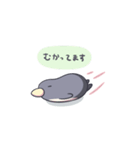 ふっくらぺんぎん（個別スタンプ：10）