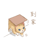 Cat's Lifestyle(Chinese Ver.)（個別スタンプ：8）