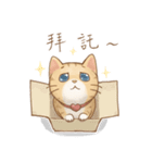 Cat's Lifestyle(Chinese Ver.)（個別スタンプ：13）