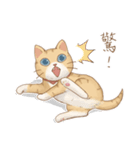 Cat's Lifestyle(Chinese Ver.)（個別スタンプ：39）