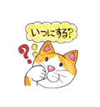 にゃんこの毎日（個別スタンプ：10）