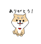 うちの子たち（個別スタンプ：4）
