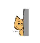 うちの子たち（個別スタンプ：19）