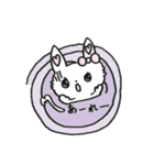 うさねこ？（個別スタンプ：17）