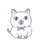 Munchkin cat RORO（個別スタンプ：1）