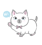 Munchkin cat RORO（個別スタンプ：2）