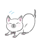 Munchkin cat RORO（個別スタンプ：4）