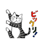 猫のKabamaru（個別スタンプ：26）