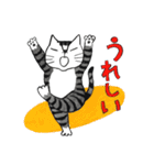 猫のKabamaru（個別スタンプ：29）