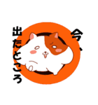 くいしん坊ハム公（個別スタンプ：13）