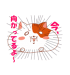 くいしん坊ハム公（個別スタンプ：14）