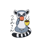 激しいワオキツネザル（個別スタンプ：3）