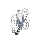 激しいワオキツネザル（個別スタンプ：8）