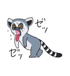 激しいワオキツネザル（個別スタンプ：16）
