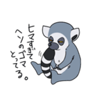 激しいワオキツネザル（個別スタンプ：19）