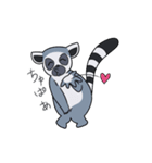 激しいワオキツネザル（個別スタンプ：31）