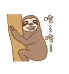 sloth slowly（個別スタンプ：6）