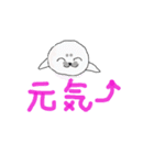 アザラシの子っこ（個別スタンプ：40）