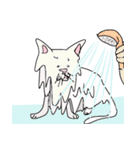A cat from jp（個別スタンプ：14）