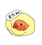 文鳥だもん（個別スタンプ：4）