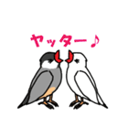 文鳥だもん（個別スタンプ：29）